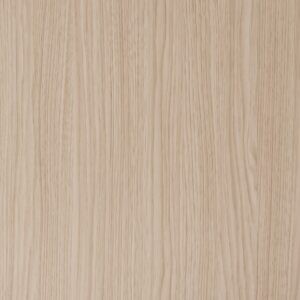 Дуб Белёный